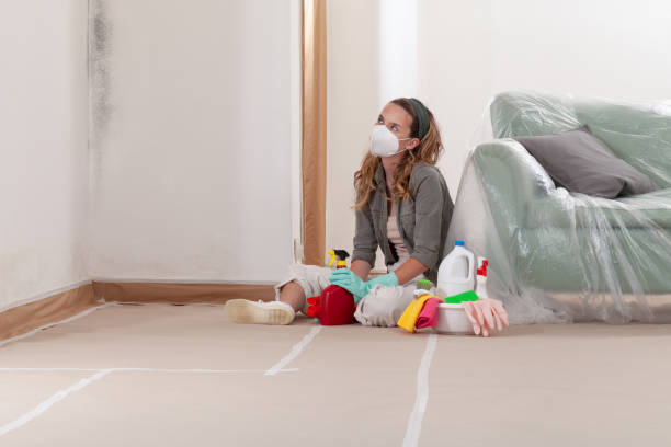 Reliable Mold Remediation contractor in Stoneham, MA by WQB Mold Removal